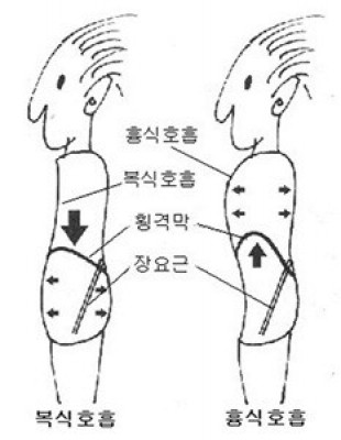 호흡법의 종류!